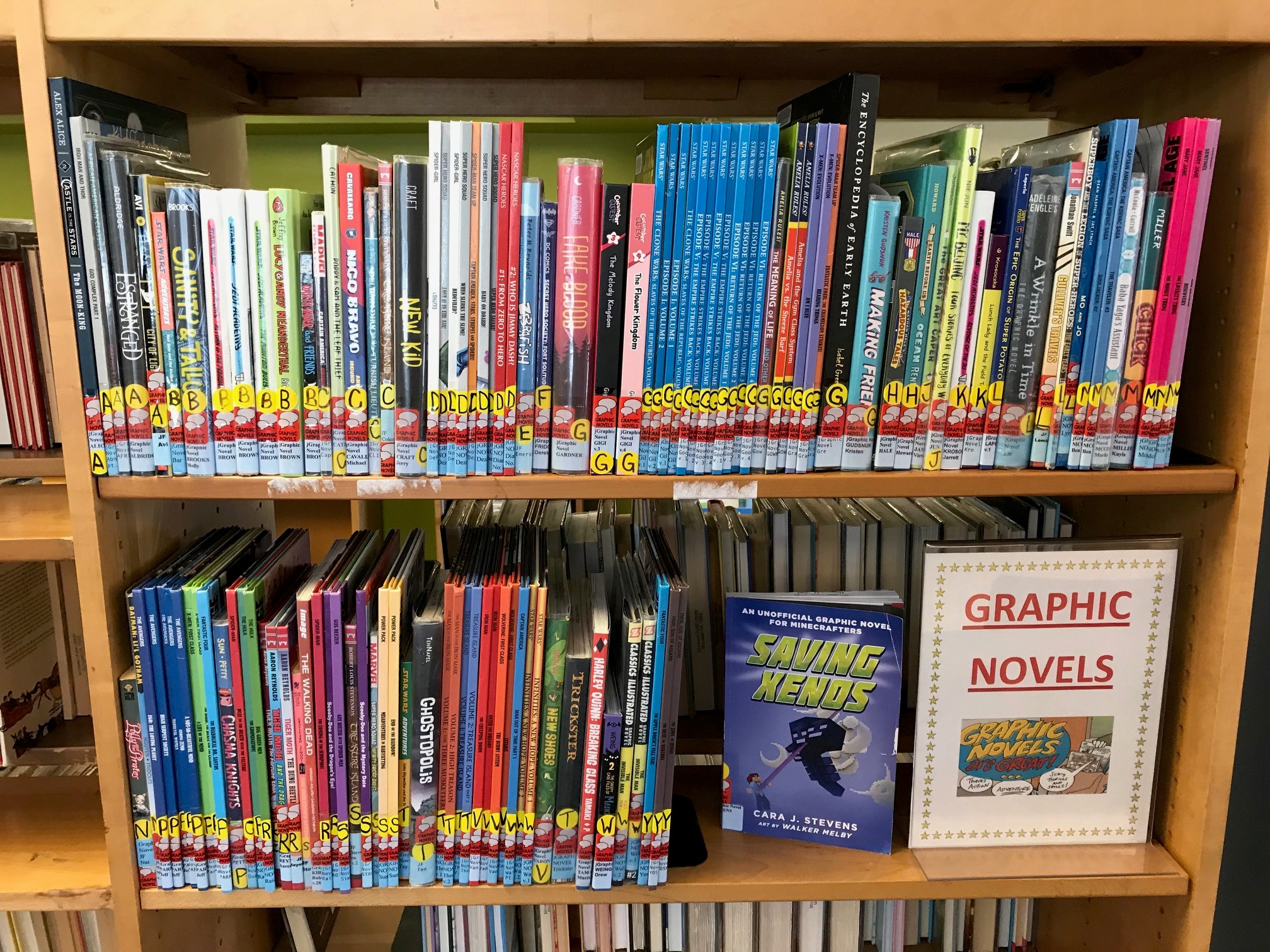 Graphic Novel display - placeholder 1